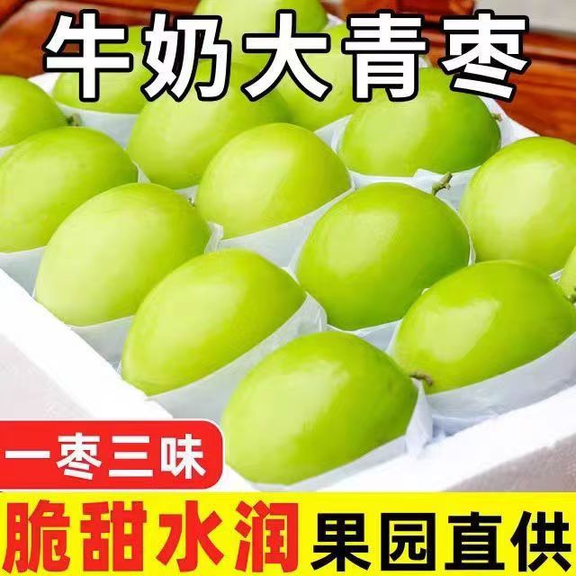 台湾牛奶大青枣9斤新鲜水果当季脆甜苹果枣蜜枣贵妃冬枣整箱包邮5