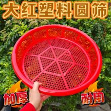 ���ϺY���z�Y���z���������������Ӵ�������Y�Ӵ�̖�Y�����l