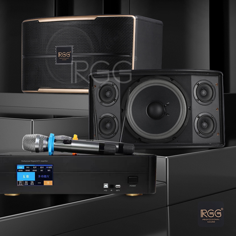 10-pulgadas de 12 pulgadas de audio KTV titular de la tarjeta de Casa de karaoke de audio para el hogar equipo de audio juego de altavoces conjunto Al Por Mayor