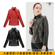 Ƥ��2024�¿�̿��aƤ�A��Ů�b�羳���lŮ���|����ͨ��������