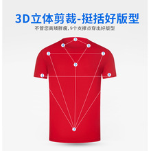 2024年夏季新款80支真丝棉t恤定制纯色休闲圆领短袖打底衫印logo