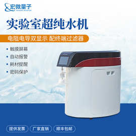 超纯水机多功能实验室超纯水系统超纯水仪水净化设备