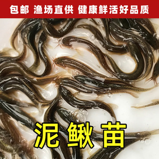 ���q��~����q�������q�r���~�Bֳ��ˮ�������~�������