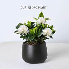 ���ԃr�ȸߡ��d�ӻ����Ի����҃������׻�Gֲ�����͎������̨