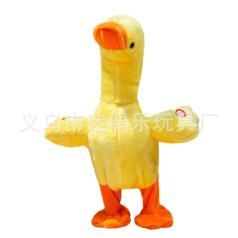 O1CN01WhoYyg1gz8uy1AX4X_!!2211