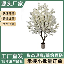 ���b�������҃��b٘�ѻ���Ƶ��d��c�Gֲ���Ř�߷���