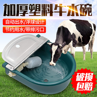 ���ϸ���ţˮ��ţ�ú�ˮ�������ţ�R���ԄӸ����ˮ��ţ�ˮ��