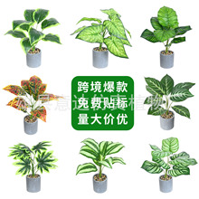 �羳 ����Gֲ9�^���������~�G�}С������ֲ�������^�쾰����