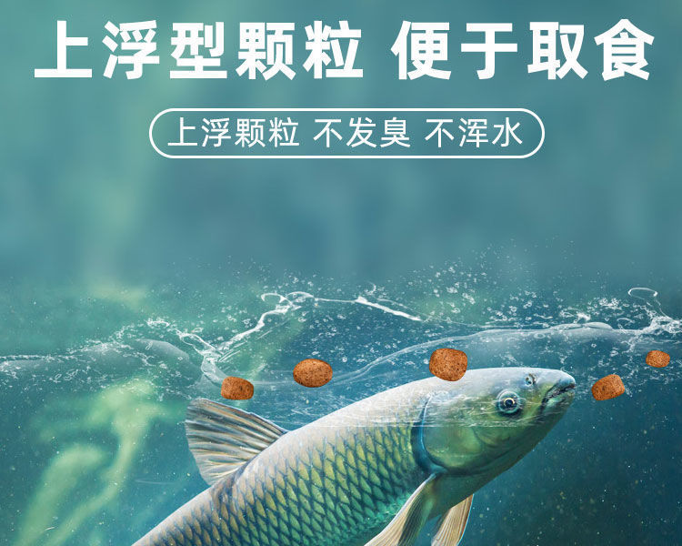 详情图