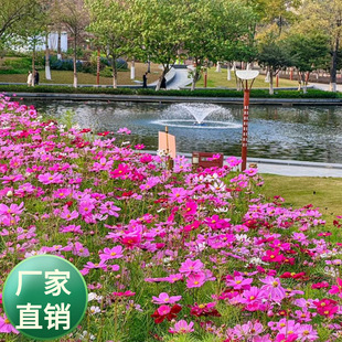 ���l�ջ��N�Ӳ�˹���ֽи�ɣ������÷Ҏ��� �е͗U�ļ��ײ�����