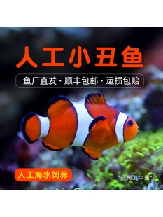 �˹�С���~��ˮ�^�p�~���w������Ī�ͻ���B���ǌ��������^�V��