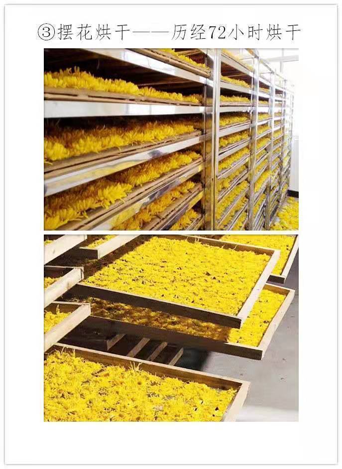 5b1702cf-b1c5-48a7-8a67-b5d72ea652c8.jpe