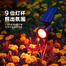 ?̫�����������ˮ·���ز��ƺ�����þ��^ͥԺ�����@�՘����