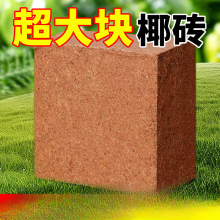 9���KҬ�u�I�B���B����Ҭ�Ӛ�����Ү�u�N������Ó�}Ҭ���u