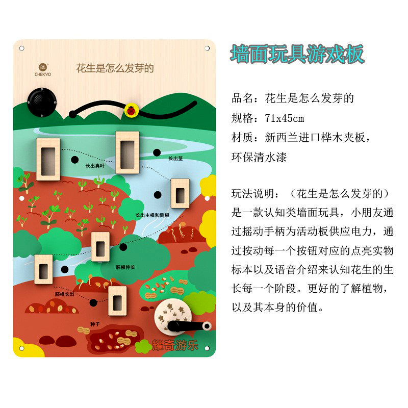 땅콩은 어떻게 싹이 트나요 71*45CM