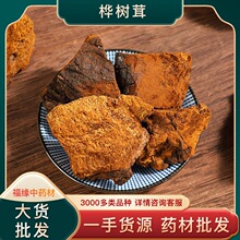 中药材产地散装桦树茸批发 大货桦褐孔菌桦树黄灵芝桦树泪中药材