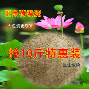 ��������ɏ˯ɏ�������������]�ɻ����������ˮ��ֲ��I�B��
