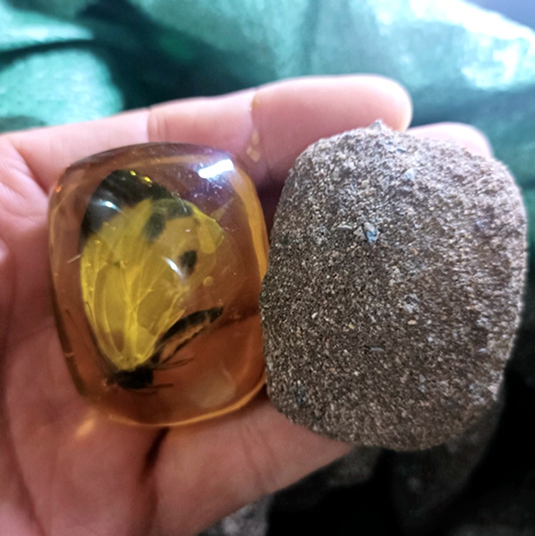水胆琥珀昆虫化石蝴蝶蝎子水滴虫珀植物地摊展会景区工厂批发现货