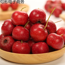 ���rɽ髹�5���b ɽ��r��ɽ��t�����l���r��ɽ髸�Ƭ���Ǻ��J��