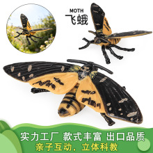 �������x����ģ�̓�ͯ�ƽ�ɳ�P�w���Pβ����β�������������[��