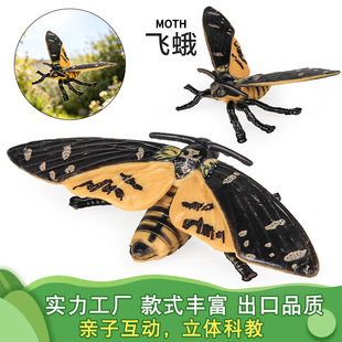�������x����ģ�̓�ͯ�ƽ�ɳ�P�w���Pβ����β�������������[��