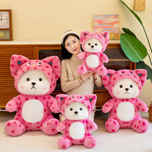 抱熊玩偶公仔帽子变身毛绒玩具小熊女生可爱布娃娃生日礼物批发