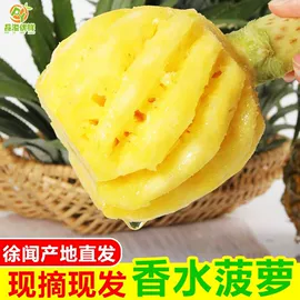 月饼;传统糕点;软糖