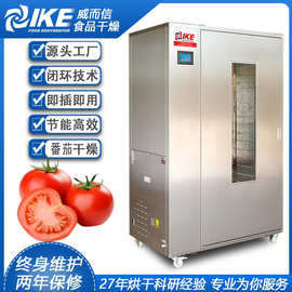 番茄西红柿烘干机热风干燥农产品烘设备家用商用干燥食品WRH-100B