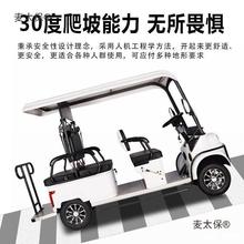 小巴士六座6座电动四轮车观光车家用旅游车带棚巡逻载客厂垒德株