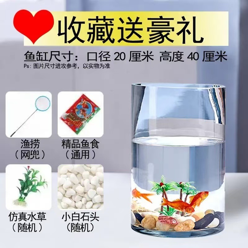 ラウンド水槽円筒形金魚水槽ガラスデスクトップリビングルーム透明小型家庭用カメストレート生態造園水槽|undefined