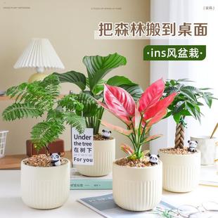 ���Wins�Gֲ���Ͱlؔ�����Ի��ܳ���ȩ�k���҃�����ֲ������՚�