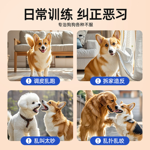 Rubber Pet Heart Shape Dog Training Collar with Paws, Training Tool for Teacup Puppies