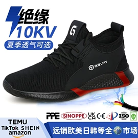 防砸防刺穿鞋;防静电鞋;其他足部防护