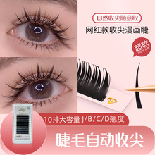 ���K���������ë�ռ��½�ë�θ���ȡ�W�t��ϵ̩ʽ�޽����޵�J�N