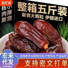 代发批发精品黑耶枣伊朗迪拜阿联酋中东特产沙漠黑椰枣枸杞