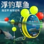 大力马洛阳飘飘成品线组