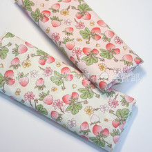 ��ݮ��2ɫ ����б�y����ȫ�ތ�����Ʒ�ֹ����޷����� ��ͨӡ����