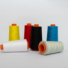 ��]���w�S�p�x�� ���ǏS�Ҹߏ��z�����l��q������q����荽q��