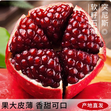 ͻ˹ܛʯԵļͥԺotʯ