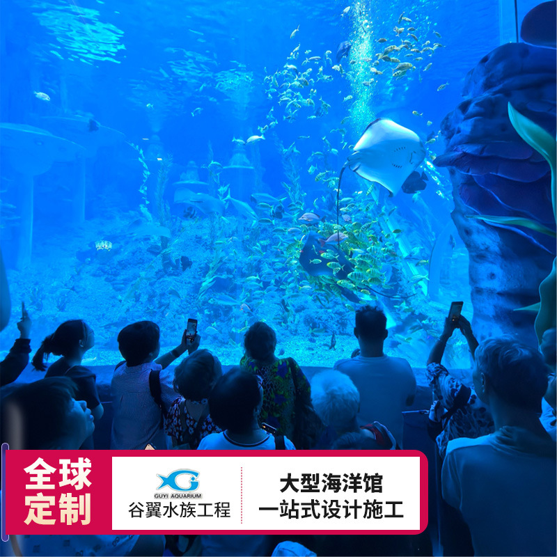 Large Aquarium Design, Ecological Creative Fish Tank Construction, One-Stop Marine Theme Ecological Aquarium Project