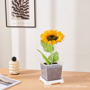 ����͸���Nֲ�^����������������տ���ϵ�^����⻨������ʽ