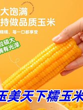 Ŵ�������r�SŴ���״ּZ���z����M�I�B�S������