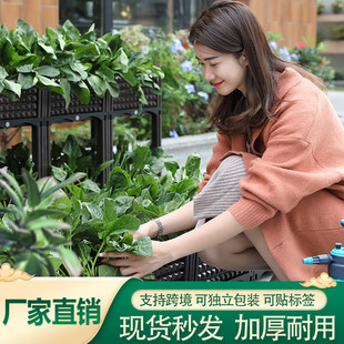 30�羳؛Դ�N����ƴ�b������Ͽ�M�b�������ѷNֲ���߲˷Nֲ�̨