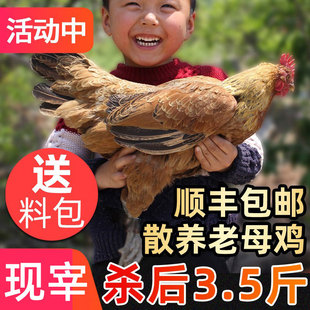 ��ĸ�u�r��ɢ�B���u���r�F���r�屿�u�ߵ��u�����u����u��