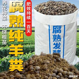 ��S�l���ЙC�ʷN���ܹ��߲˻���׷�ʟo��ζ����S�w����ʺ��