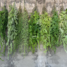 ����3����� �ڒ�ܛ�z�ָз���Gֲ�Ų�ާ�ֲ�ﲨ˹ާֲ�ܛ�b