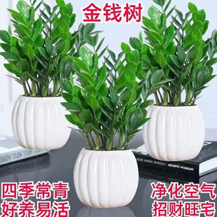 ˮ�����Խ��X���҃ȑ�����ֲؔ������՚��ļ������[�žGֲ����
