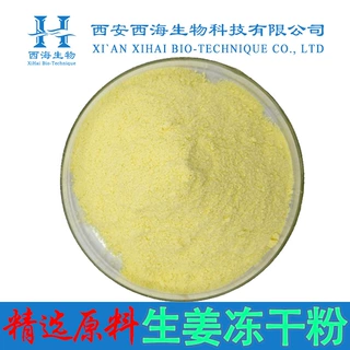 生姜冻干粉99%冷冻干燥冻干生姜粉姜辣素包邮量大从优生姜提取物