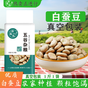 ������؛���Q���m�������Q�����Q��������؛���l����s�Zһ�����l