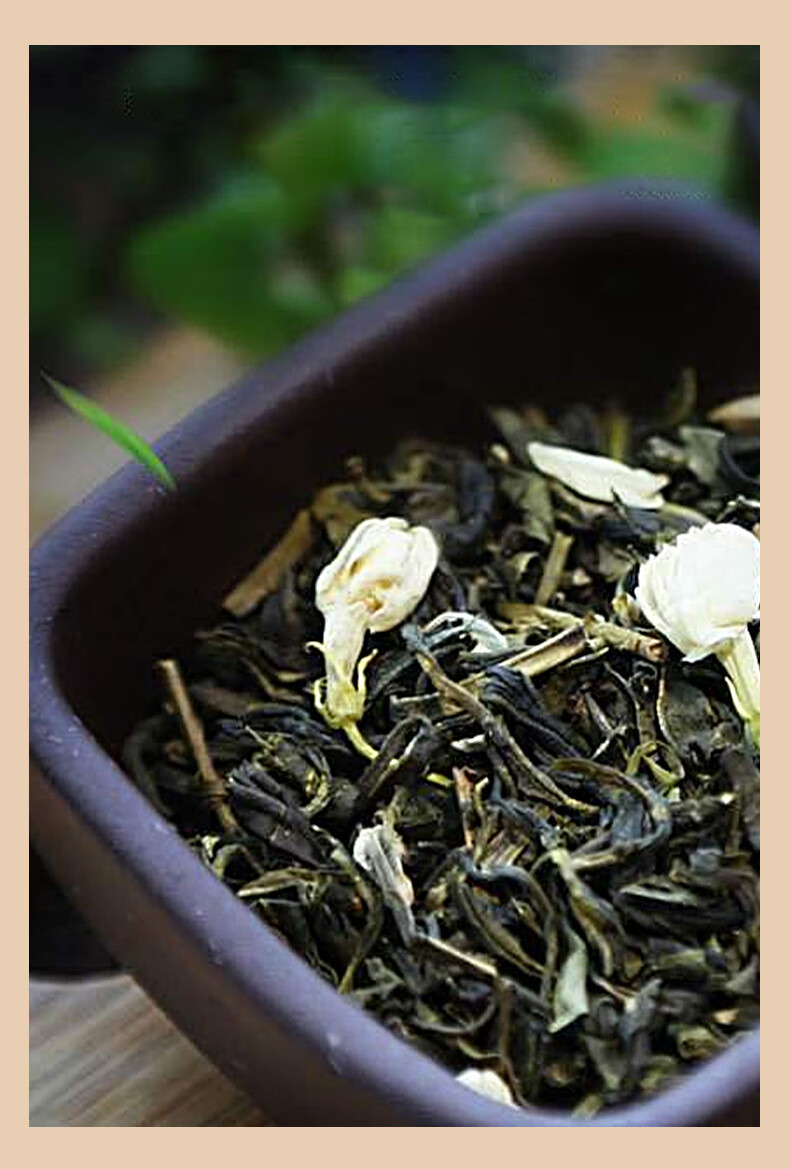 Jasmine Green Tea Loose Leaf 75g Can Premium Maojian Scented Tea for Cold Brew and Daily Drinking in use